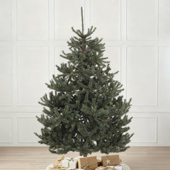 Salcar Artificial Nordmann Fir Christmas Tree – Ultra-realistic, 180 cm / 210 cm, 1118 / 1512 tips, Dense &amp; Durable for Indoor and Outdoor Use