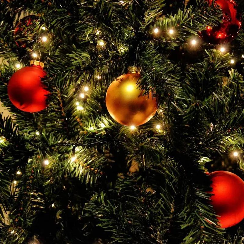 Salcar 2 m LED Lichterkette für Weihnachtsbaum, mit 8 Strängen, 280 LEDs, 31V GS-zertifizierte Stromversorgung Salcar